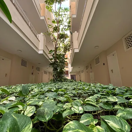 Lory Sweet Apartment Puerto de Santiago (Tenerife)